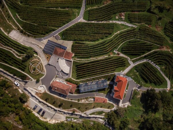 Winery Marković Tour and Wine Tasting - Image 4