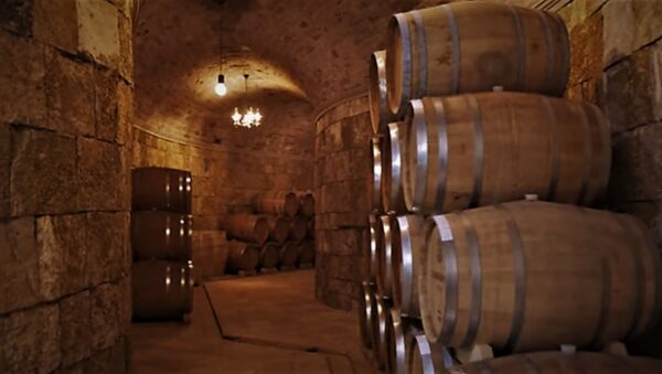 Winery Marković Tour and Wine Tasting - Image 5
