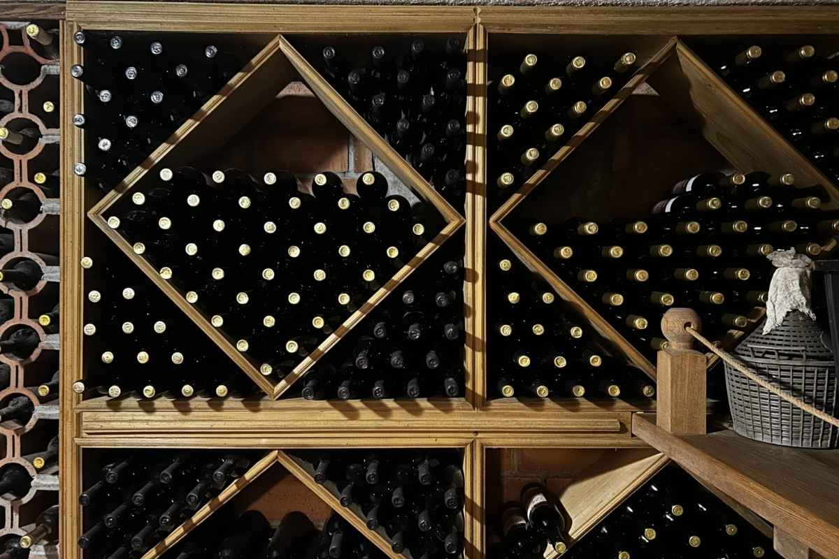 Authentic Montenegrin wine tasting Vukmirović winery