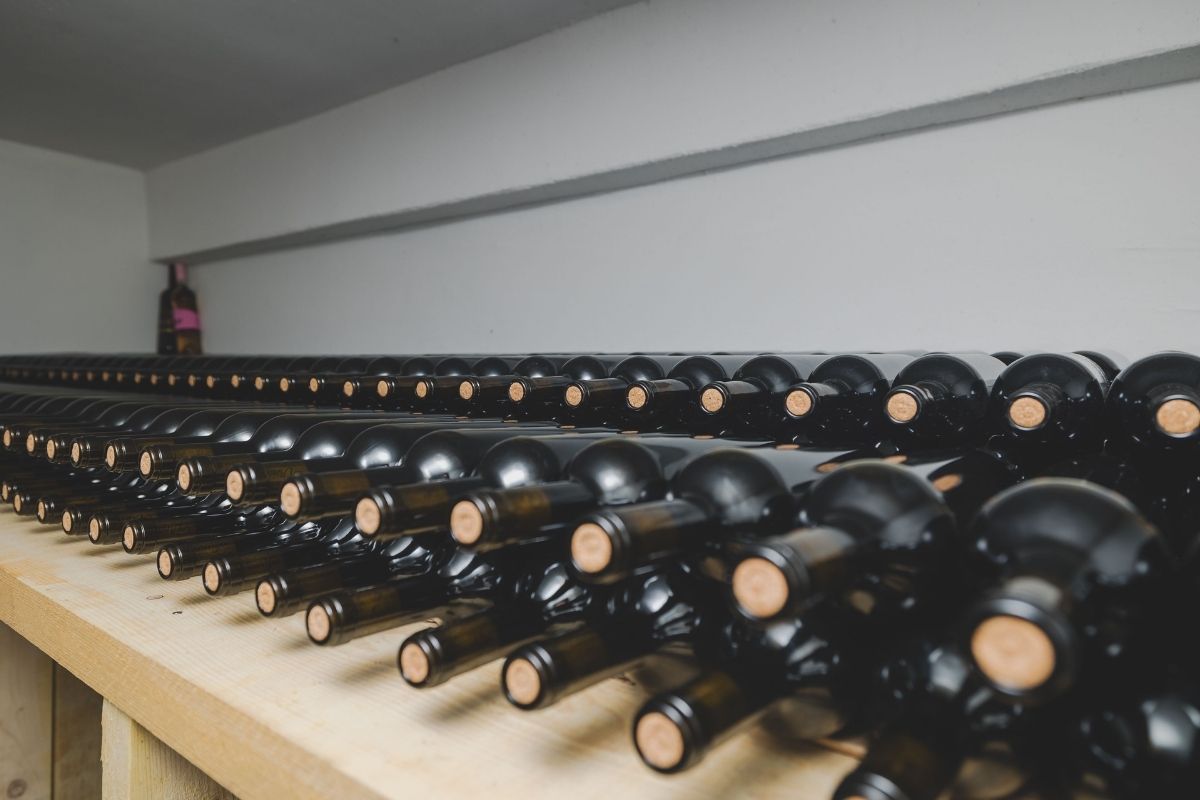 Bottle of wines in winery Racković