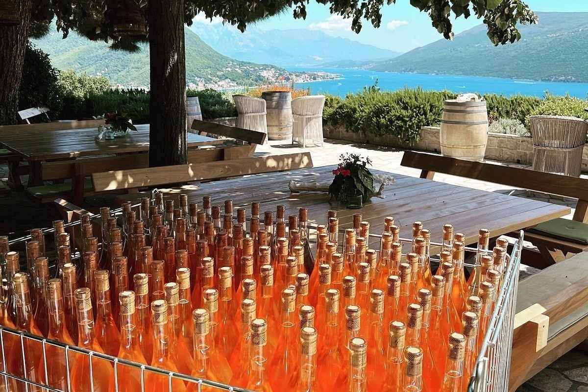 Coastal Montenegro wines from Savina winery