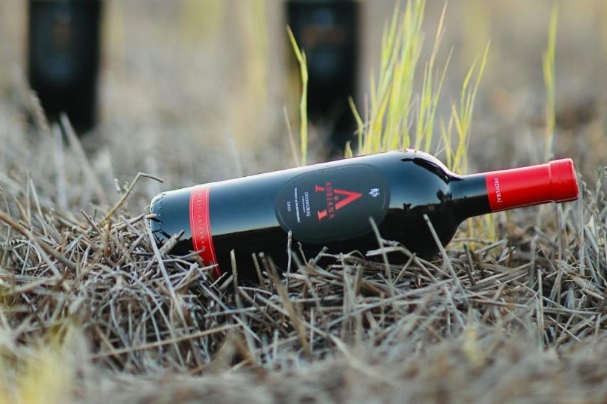 Crveno vino Adriana Dedvukaj Vineyards