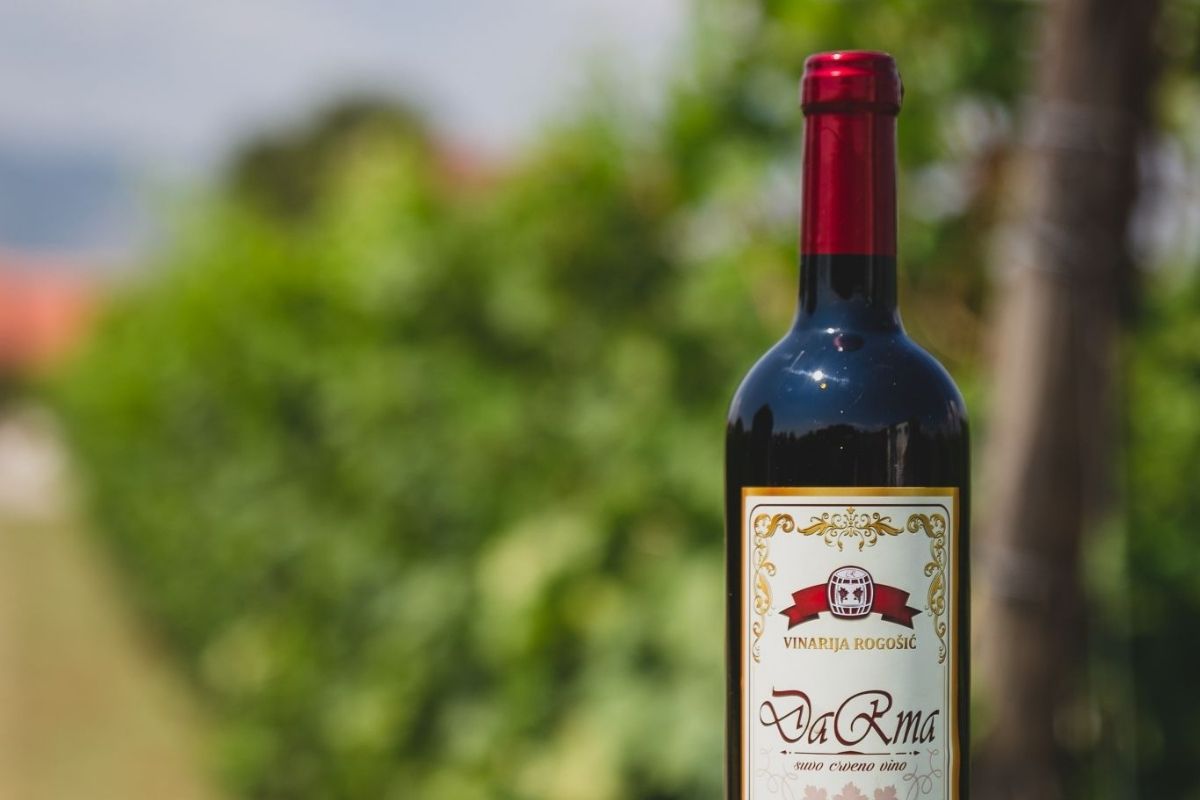 Degustacija vina u vinariji Rogošić