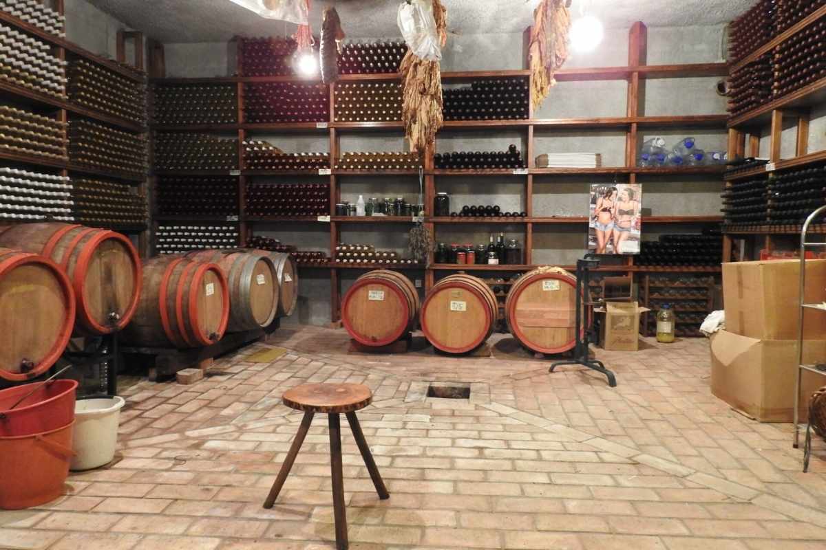 Delić Winery cellar with oak barrels in Herceg Novi