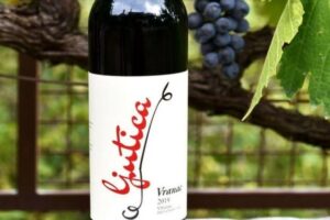Montenegrin red wine Vranac Ljutica winery