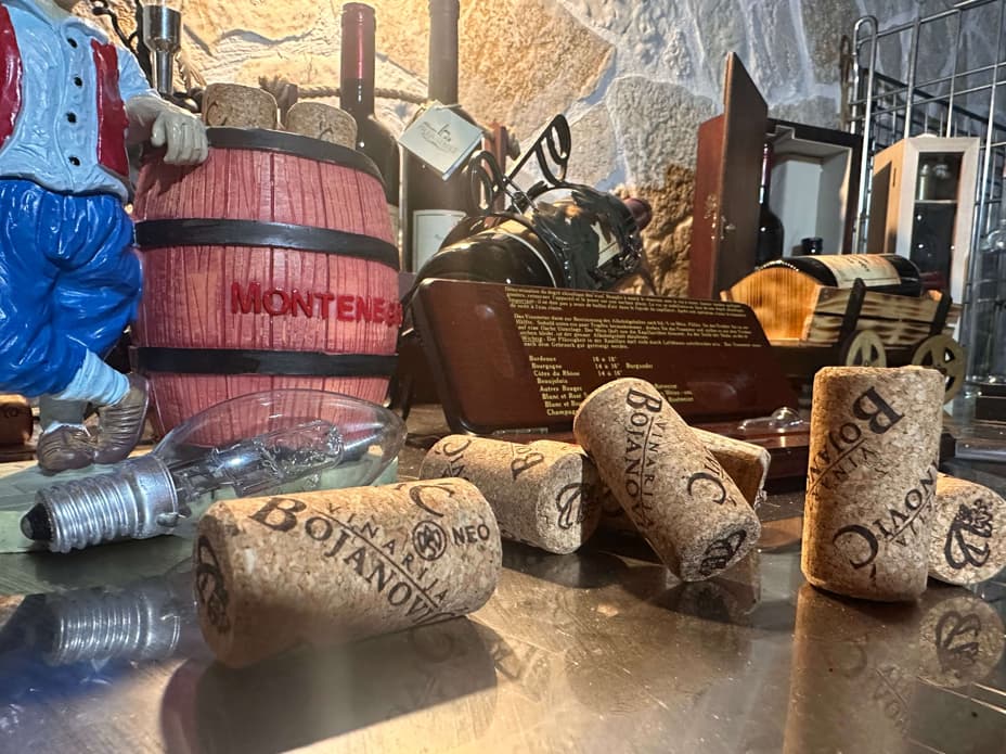 Montenegro wine tasting winery Bojanovic