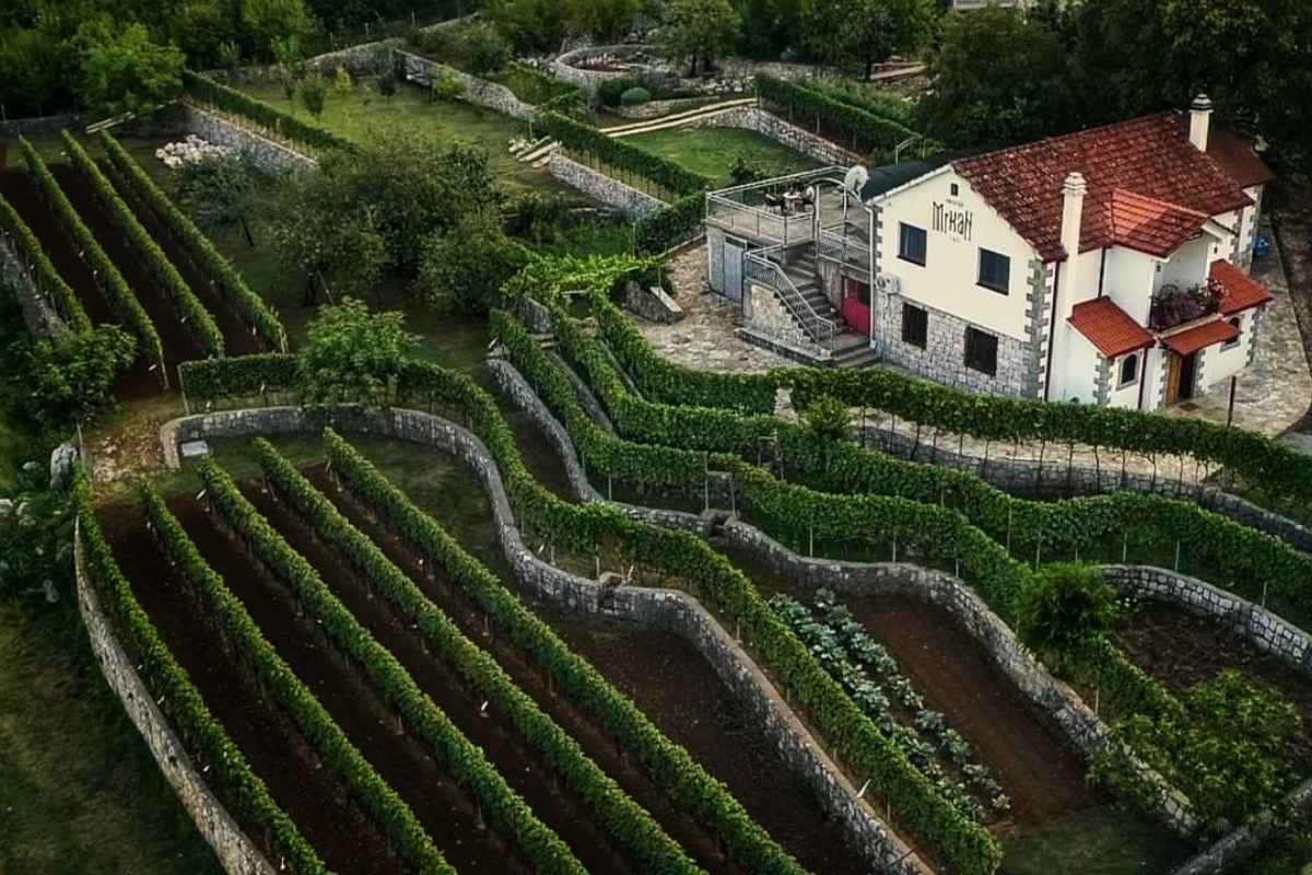Mrkan Winery Montenegrin vineyard and wine tasting
