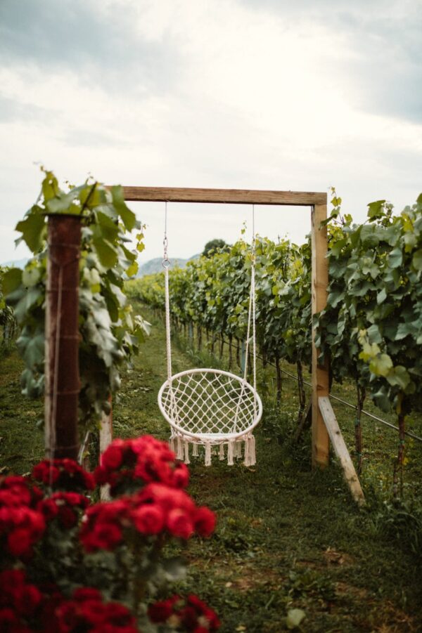 Taste & Tradition: Monte Grande Wine tour Experience - Image 6