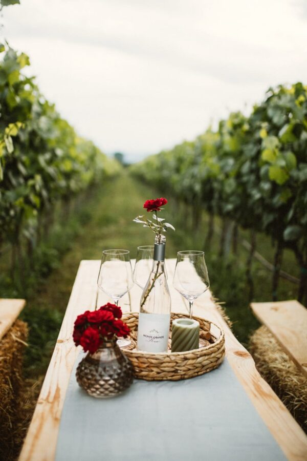 Taste & Tradition: Monte Grande Wine tour Experience - Image 5