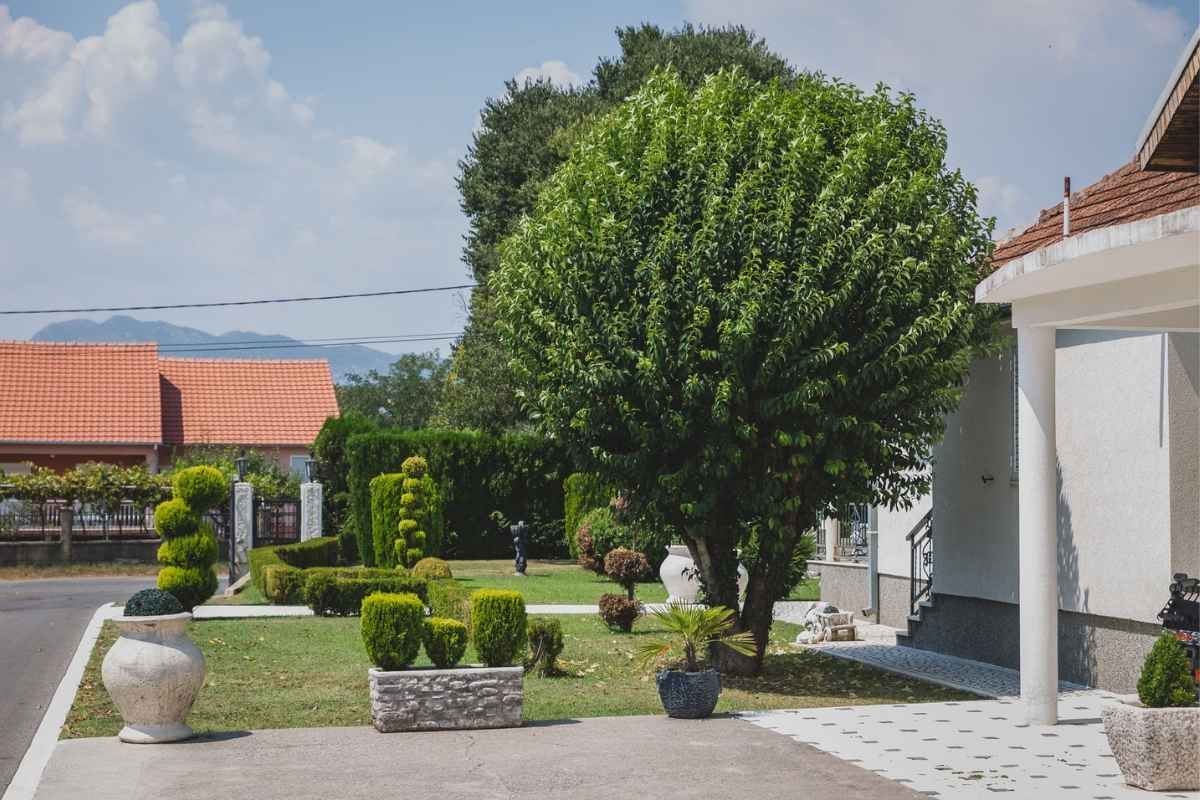 Rogošić Winery building in Podgorica surrounded by vineyards and greenery