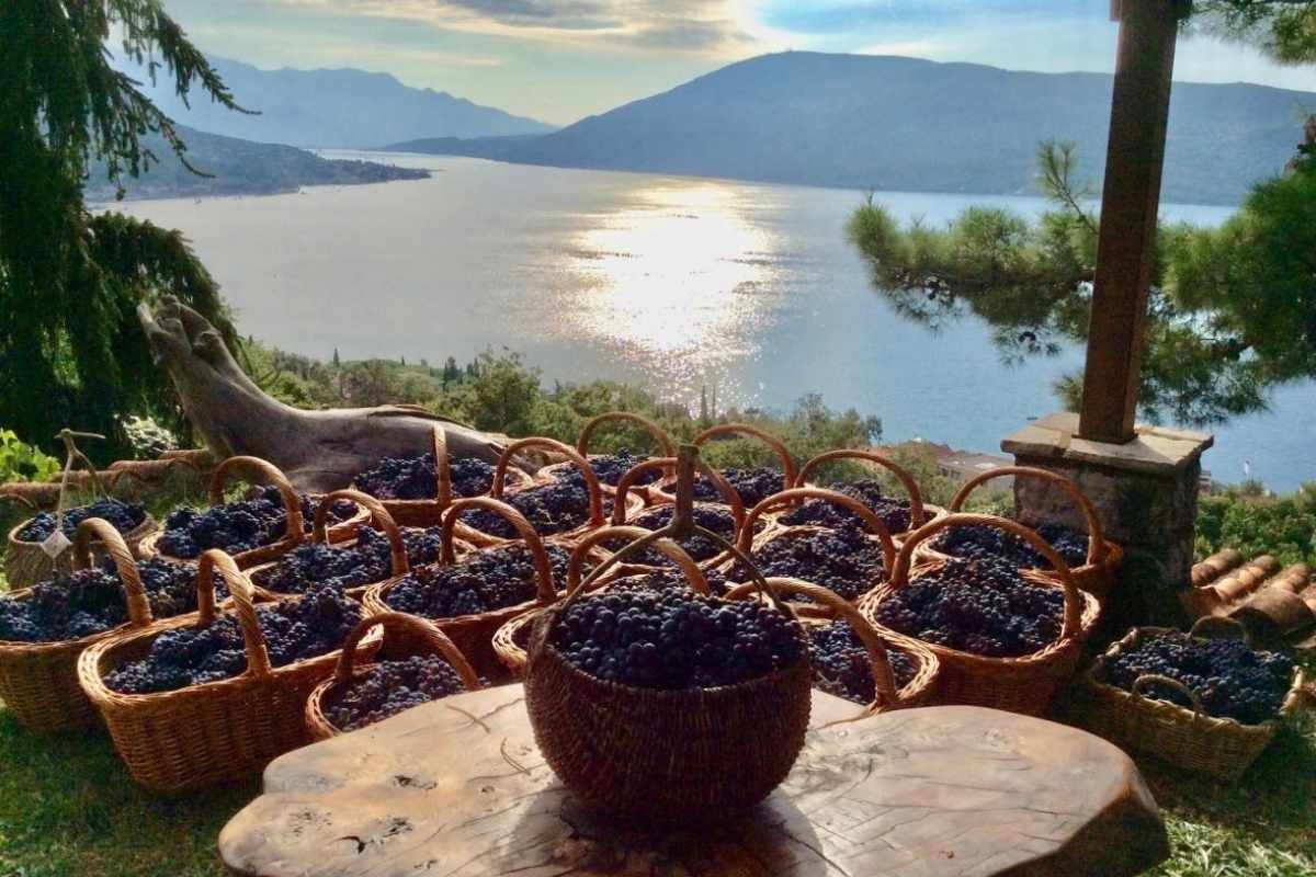 Savina winery on the Adriatic coast near Herceg Novi Montenegro