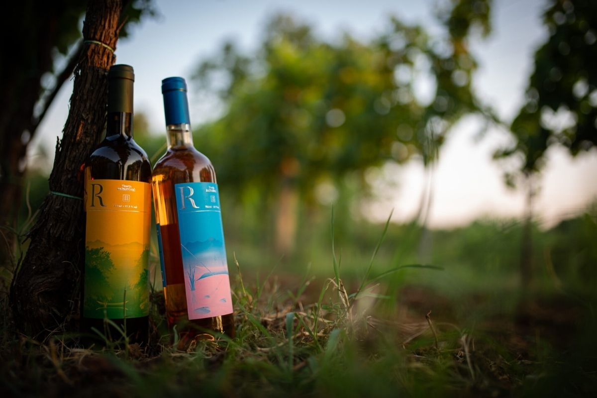 The best wines from Montenegro Ražnatović winery