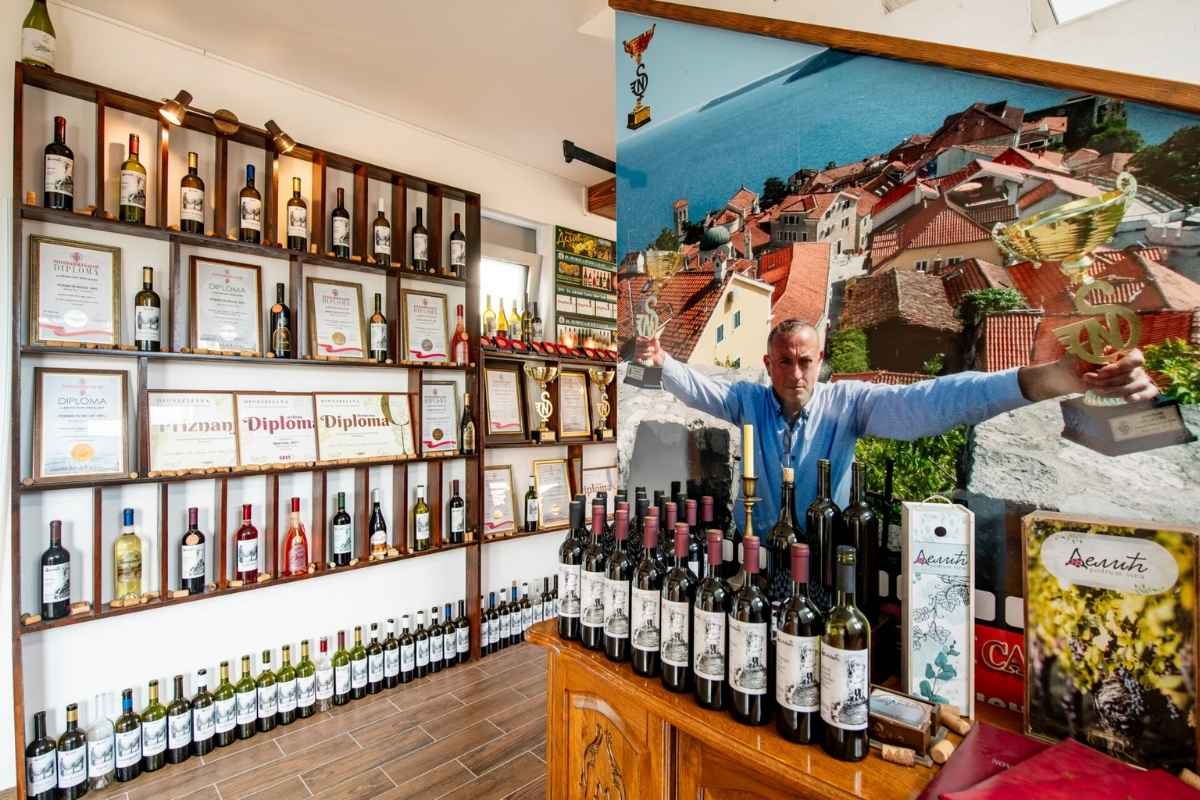Trophy and medal wall at Delić Winery Montenegro