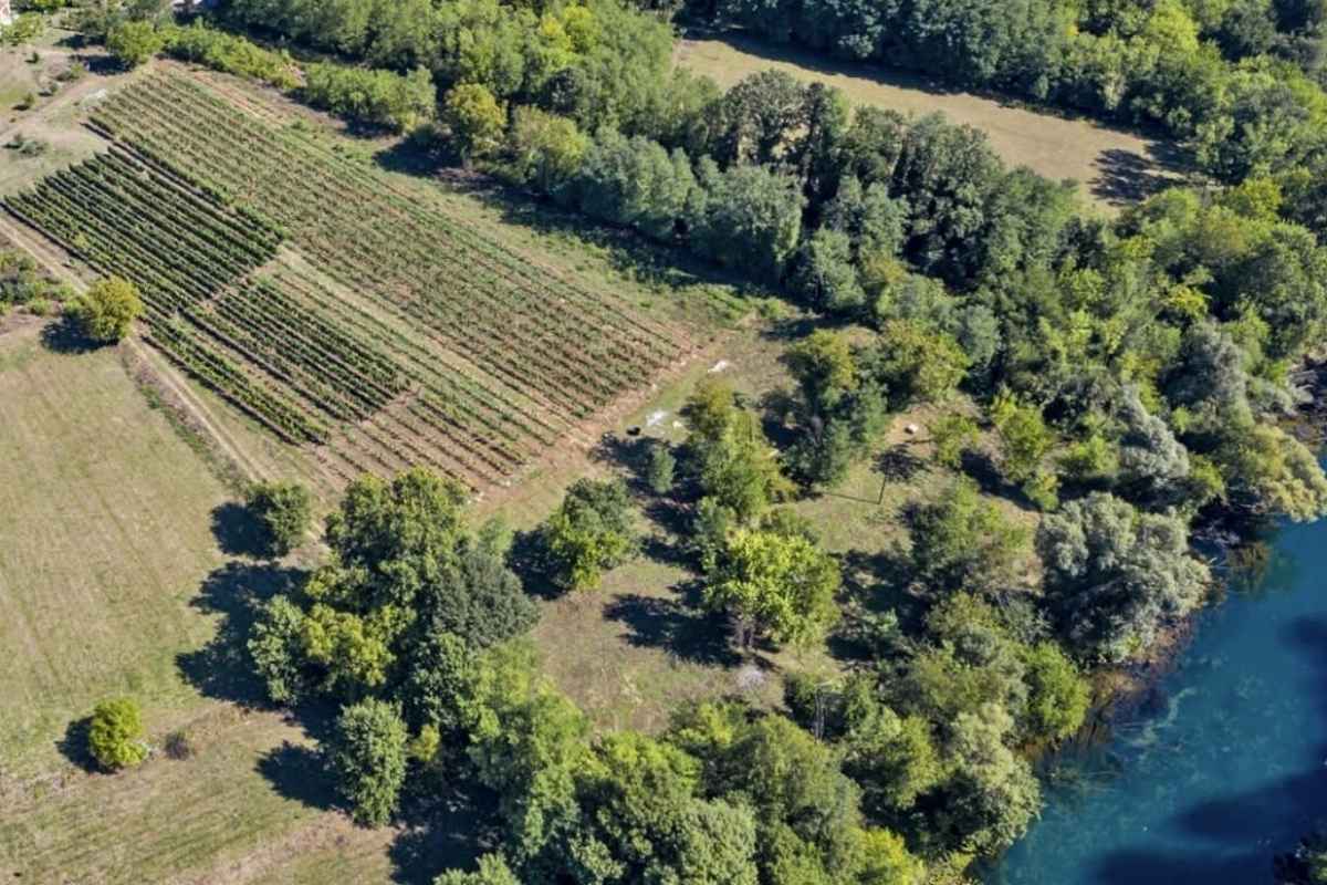 Vinarija Ražnatović Crna Gora