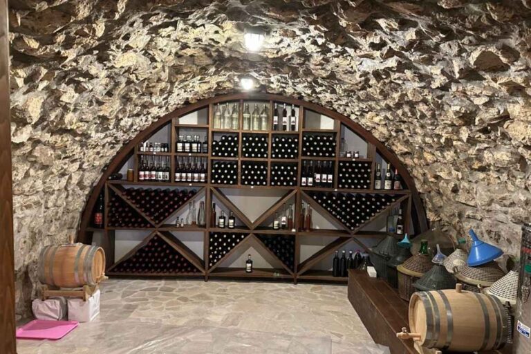 Vinski podrum vinarije Dragan Ivanovic Piperi Podgorica