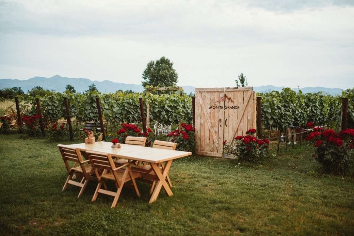 Wine tasting Monte Grande Podgorica experience local wines