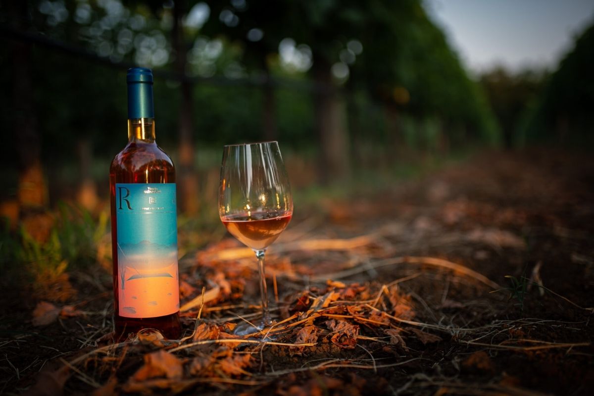 Wine tasting at Ražnatović winery rose wine