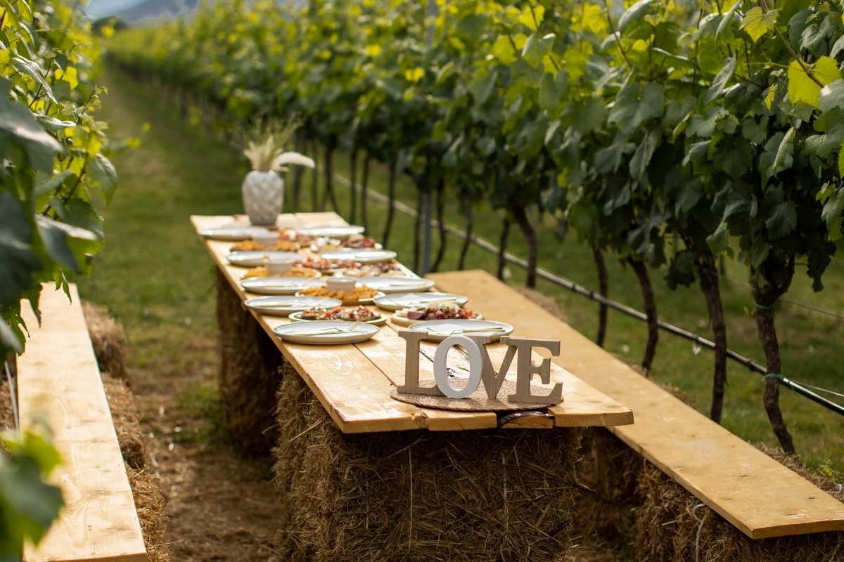 Wine tasting in vineyards Montenegro