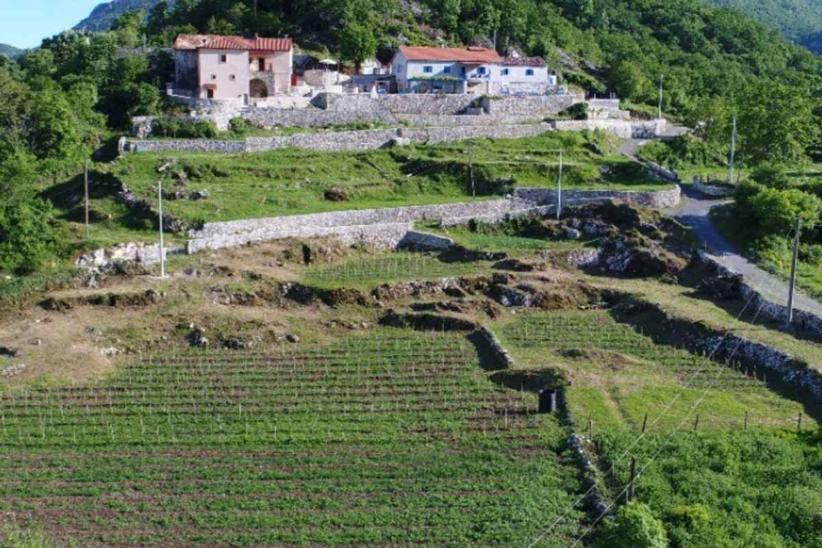 Winery Rakčević from Montenegro