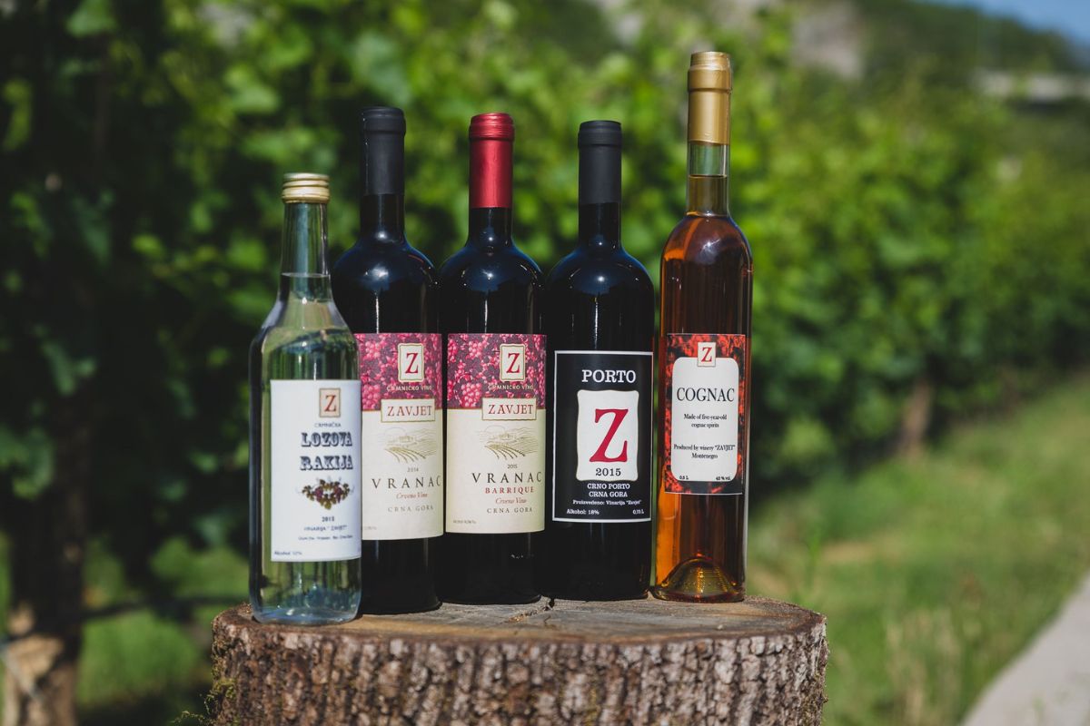 Winery Zavjet Montenegro vinarija Zavjet