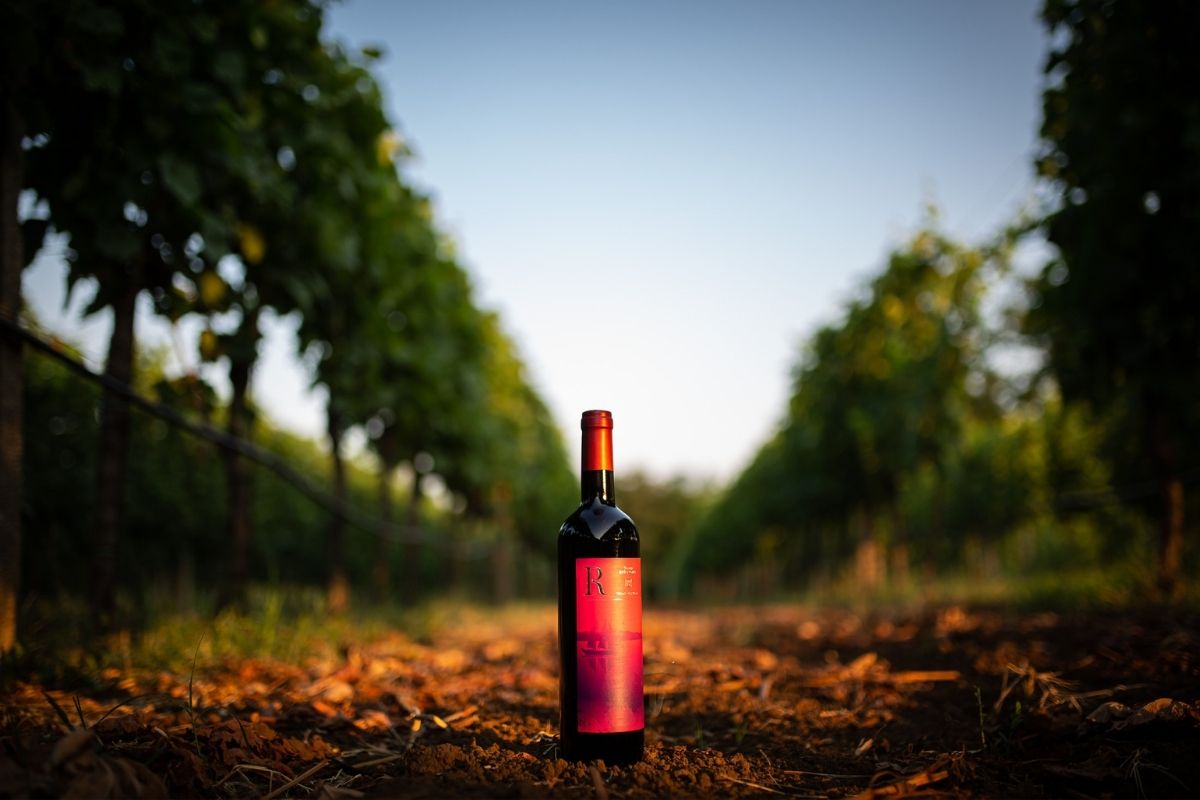Wines of Ražnatović winery