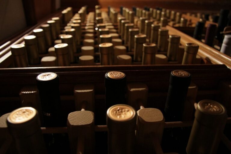 Buk winery wine bottle – Montenegrin wine tourism experience