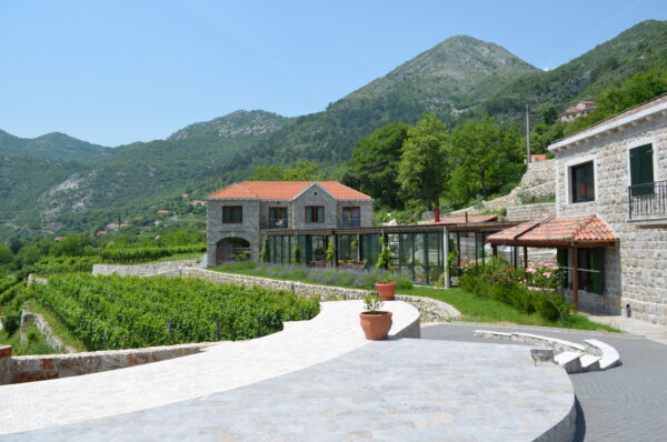 Winery Marković Tour and Wine Tasting - Image 11