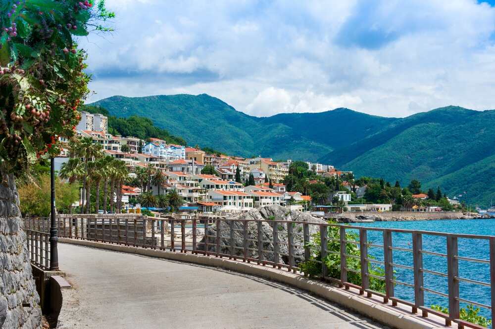 Herceg Novi wine tasting offer