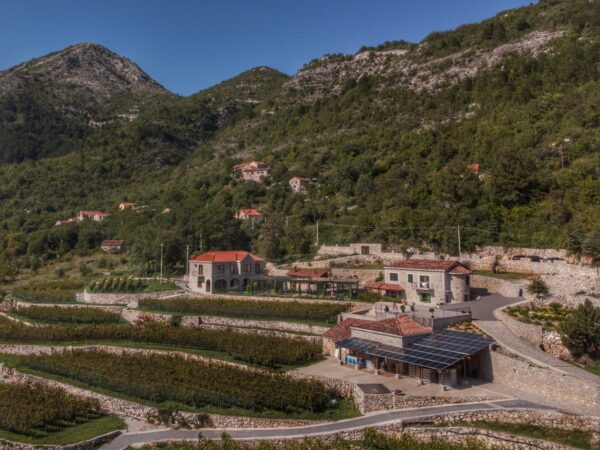 Winery Marković Tour and Wine Tasting - Image 10