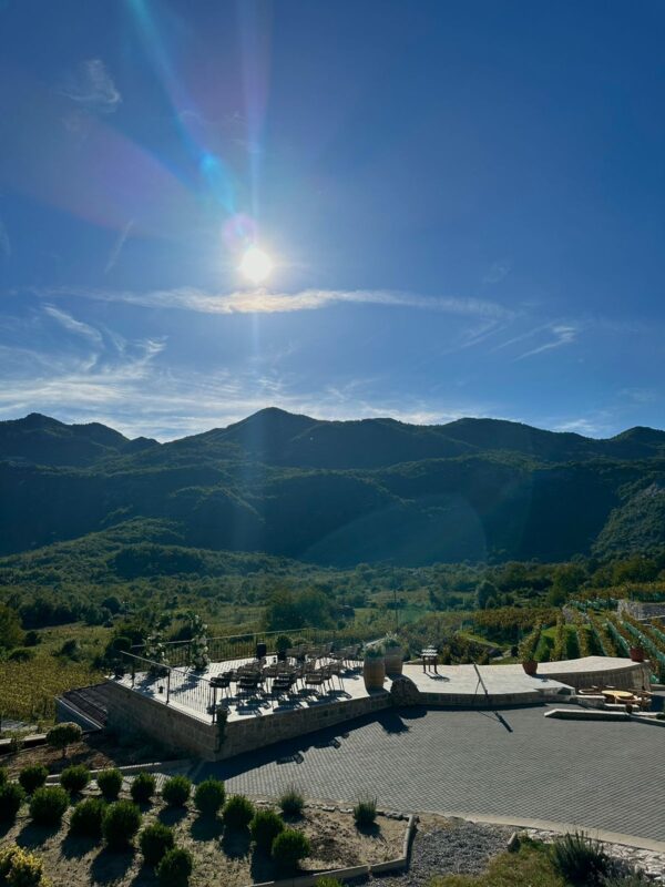 Winery Marković Tour and Wine Tasting - Image 8