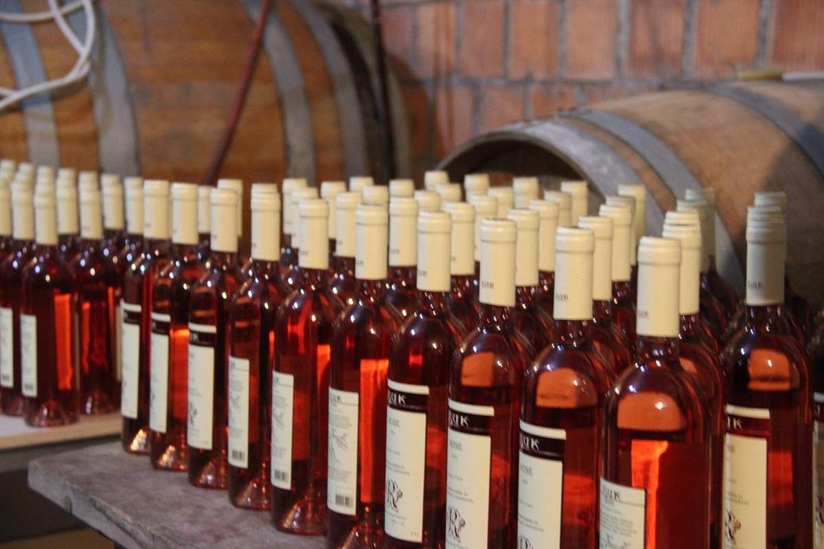 Montenegrin wine bottle from Buk winery, authentic tasting experience