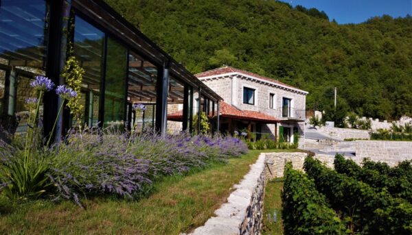 Winery Marković Tour and Wine Tasting - Image 7
