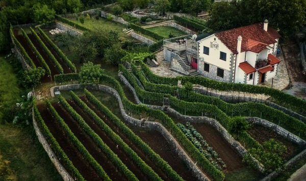 WINERY MRKAN – WINE TASTING EXPERIENCE