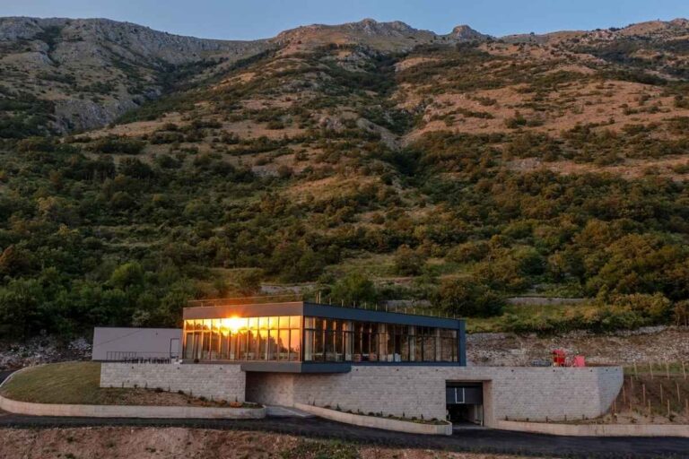 Wine tasting with breathtaking Adriatic coastline at Storia di Pietra