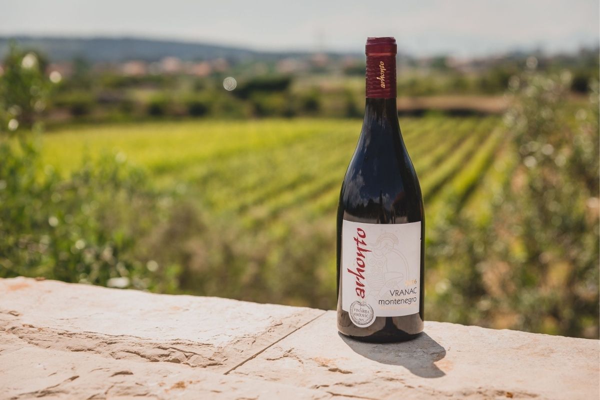 Arhotno Krgović Vranac from Montenegrin winery