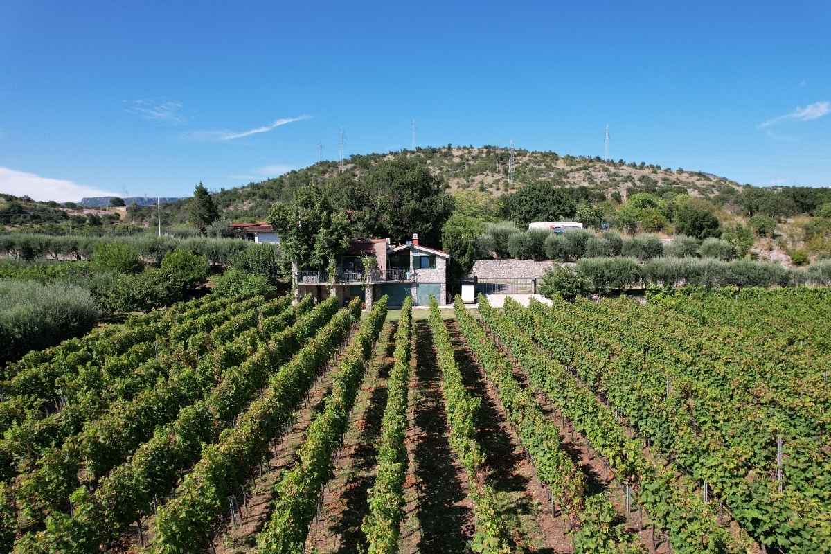 Front view of Krgović estate with vineyards