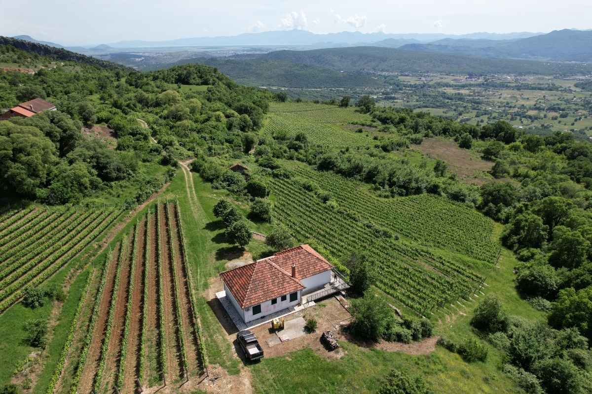 Krgović vineyard aerial view with estate house