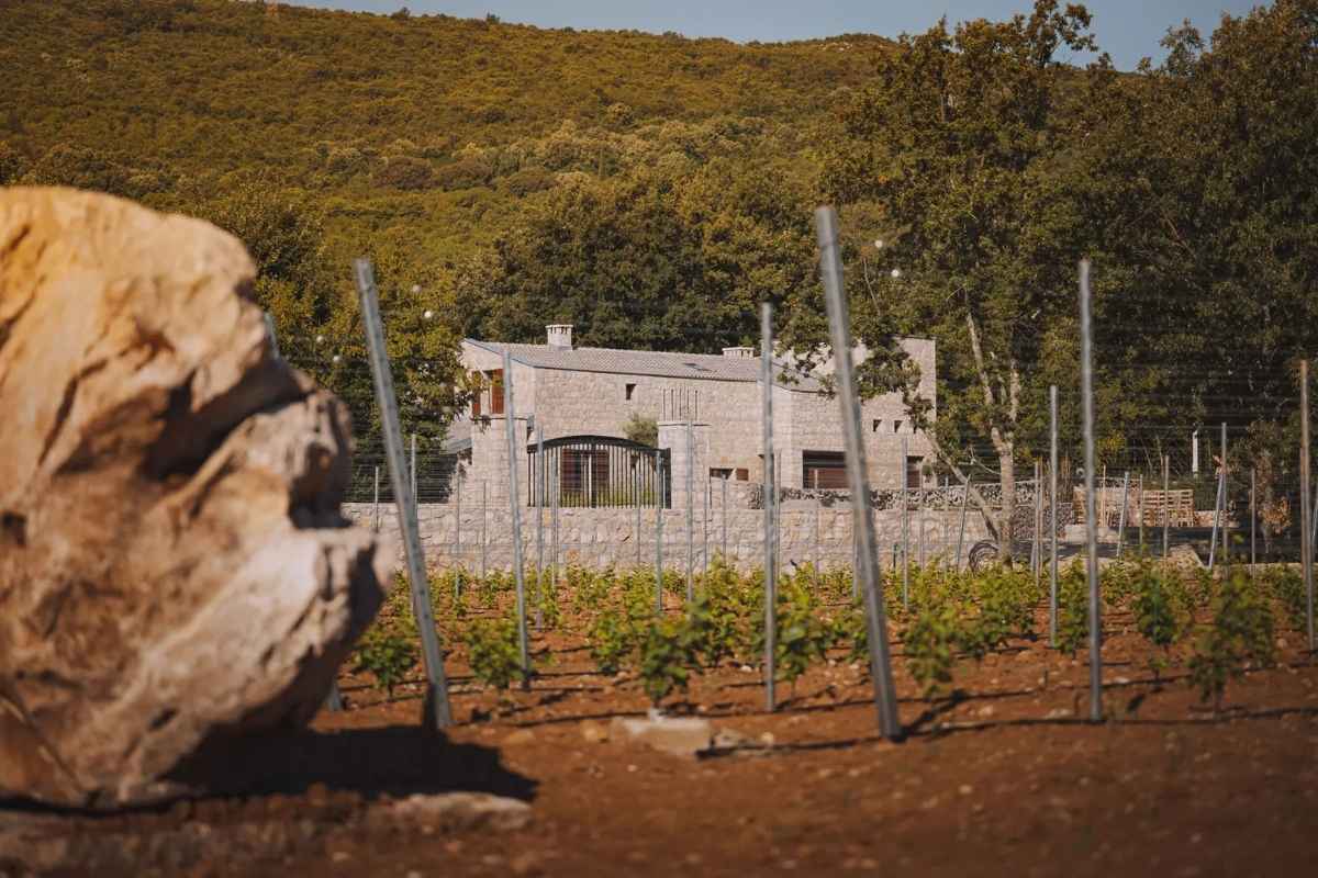 Scenic view of Barović estate stone house from vineyard