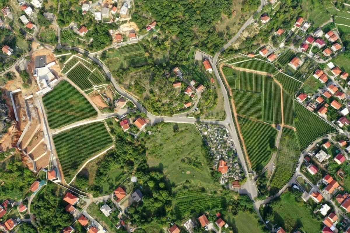 Aerial view of I Wine Ivanović vineyards in Doljani