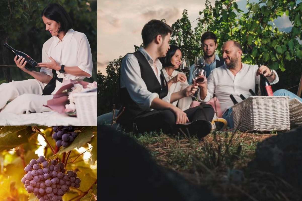 Family toasting with wine in Cine Wine Vukčević vineyard