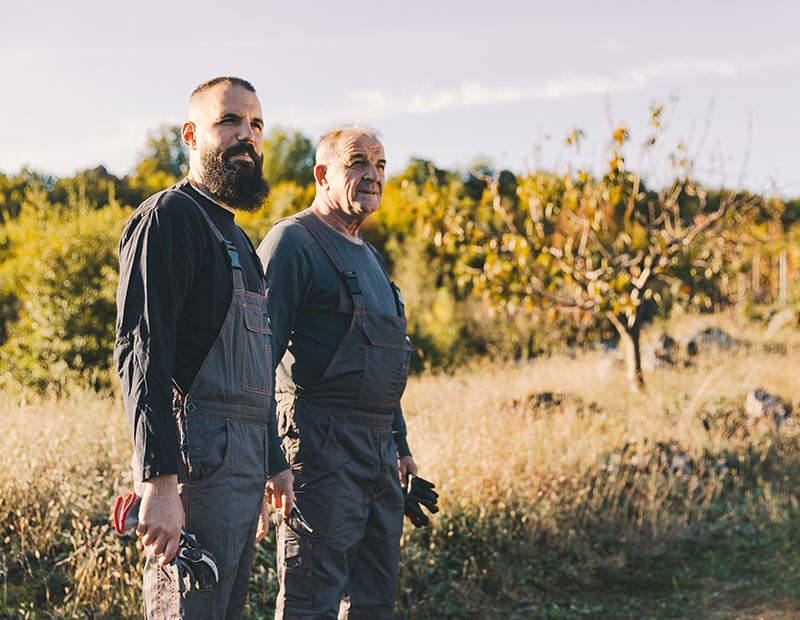 From juniper to bottle the story of Bastadur gin