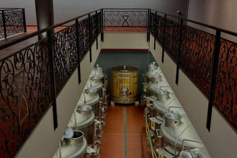 I Wine Ivanović winery from Montenegro