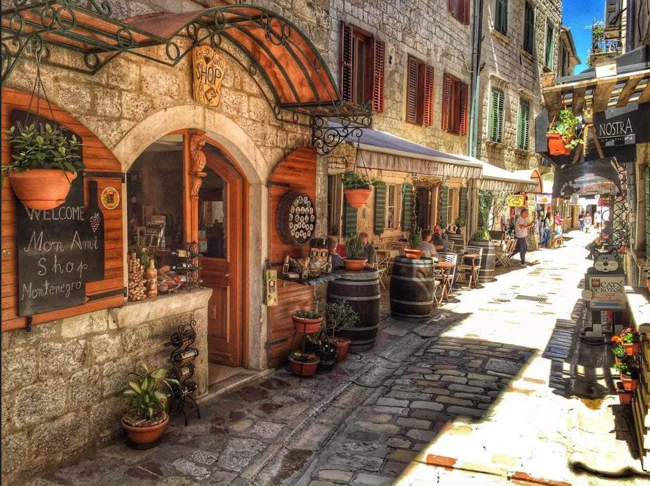 Kotor wine tasting