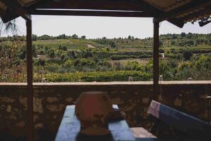 Milovic winery Ulcinj Montenegro