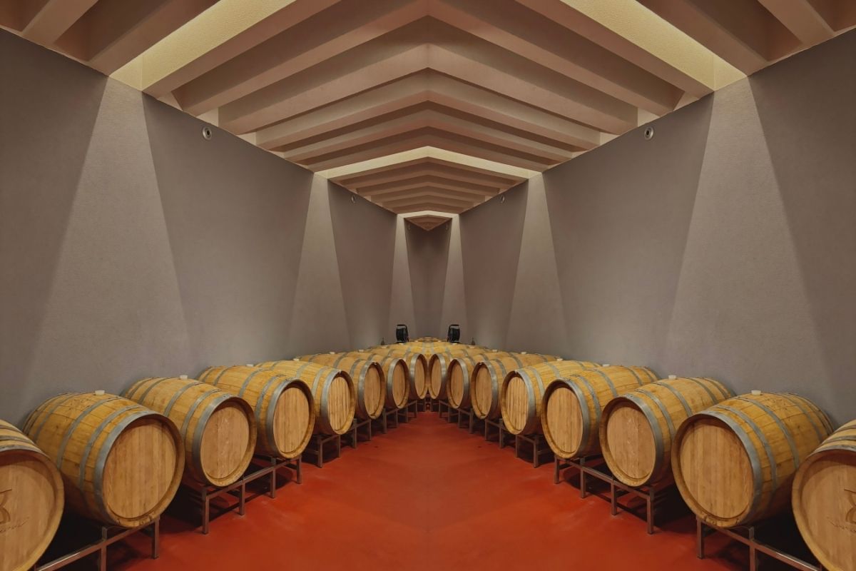Modern wine cellar at I Wine Ivanović with oak barrels
