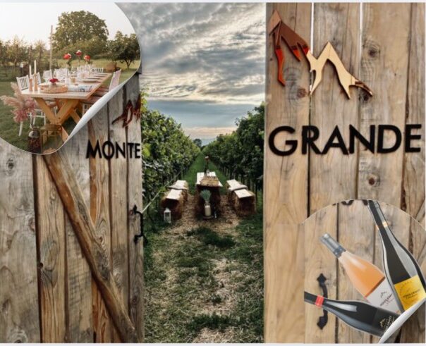 Monte Grande winery wine tasting in Montenegro
