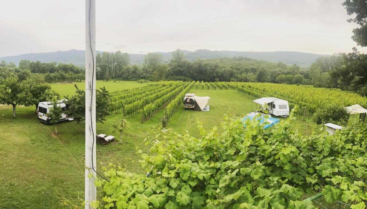 Panoramic view of Purple Eye Estate Jokaš vineyards