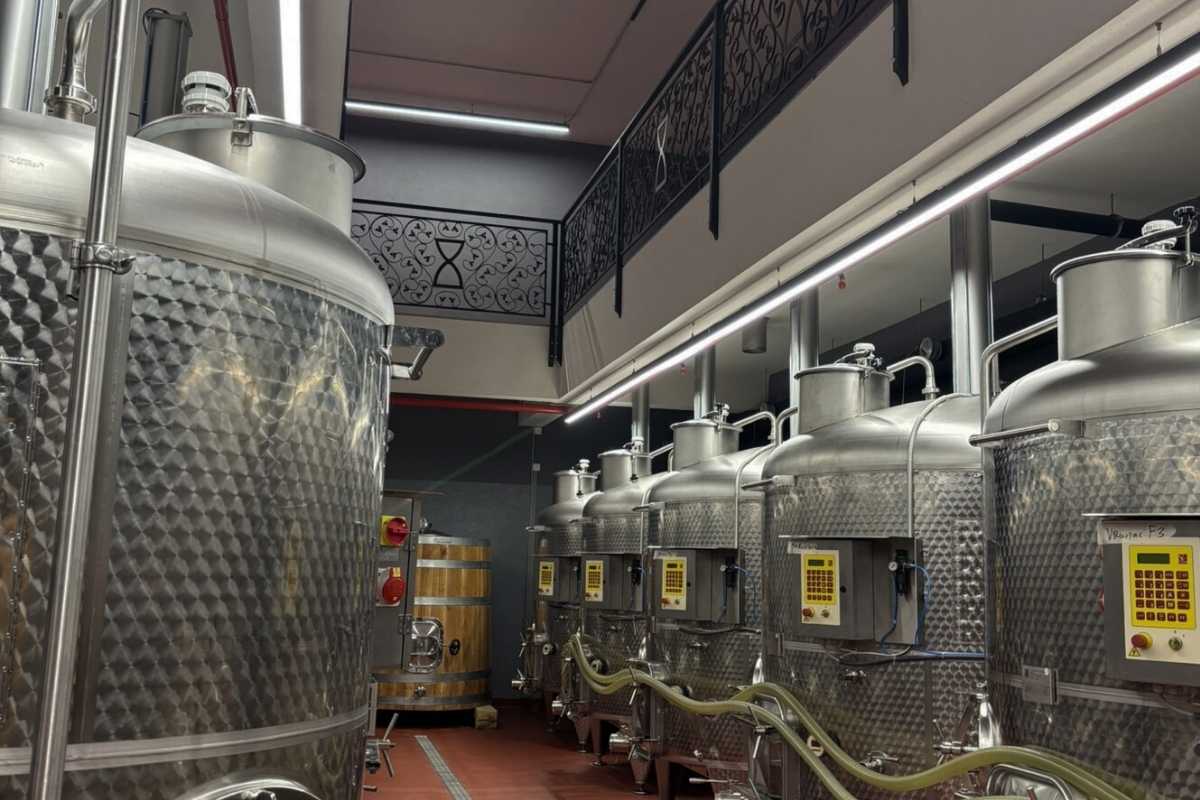 Production area in I Wine Ivanovic winery