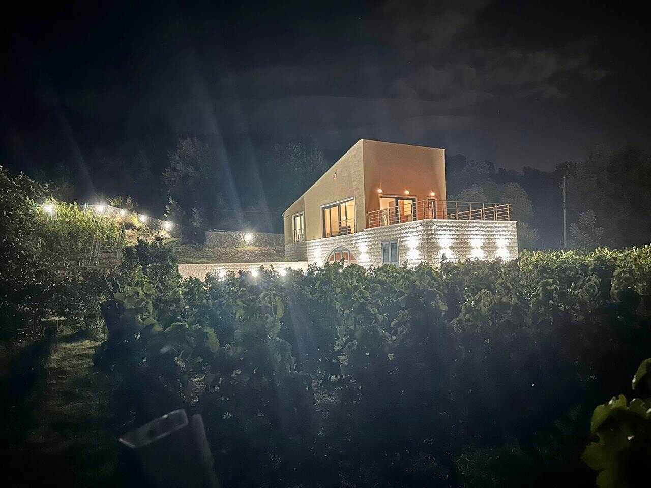 Vineyards in front of Istina Ivanović winery house