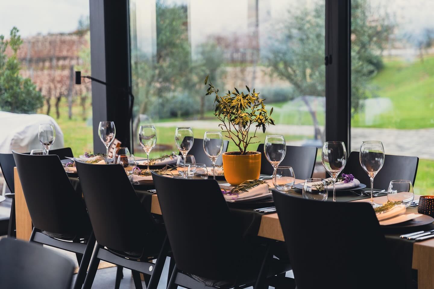 Wine and food paring in Kekovic winery